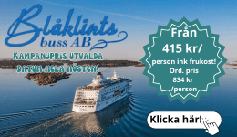 Blåklintsbuss