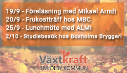 Växtkraft