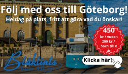 Blåklintsbuss - Liseberg