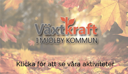 Växtkraft